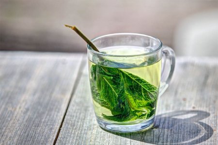 Зеленый чай снижает риск рака груди