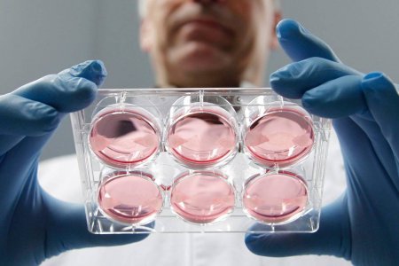 В США родители судятся с клиникой из-за перепутанной спермы