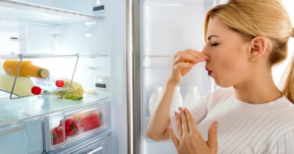 Почему обнюхивание пищи перед употреблением не спасет от отравления - Hi-News.ru