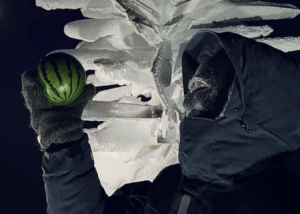 Как российские ученые вырастили арбузы в Антарктиде - Hi-News.ru