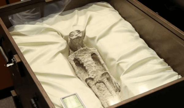 В Конгрессе Мексики показали мумии инопланетян? - Hi-News.ru