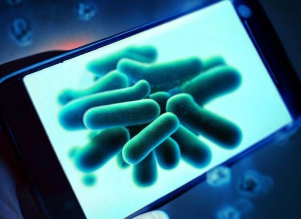 Какие мерзкие бактерии прямо сейчас живут на вашем смартфоне - Hi-News.ru