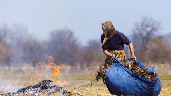 Почему сжигать листья деревьев может быть смертельно опасно - Hi-News.ru