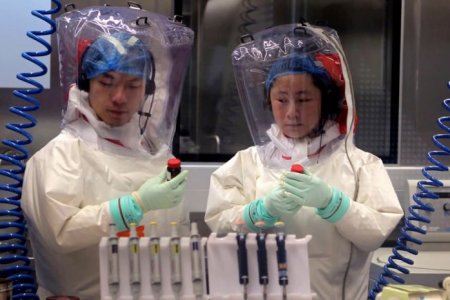 Учёные получили доказательство происхождения коронавируса, который вызвал пандемию