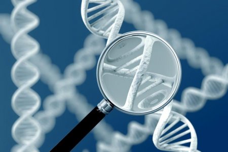 Учёные выявили генетическую предрасположенность к заражению COVID-19