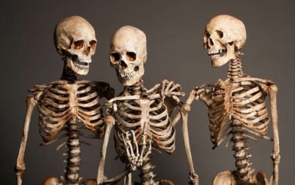 Самые древние кости людей найдены в Африке — они раскрывают тайны эволюции человека - Hi-News.ru