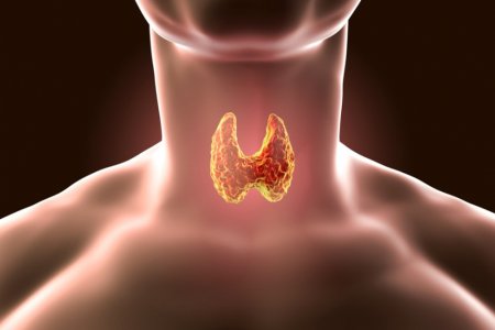 Причины, которые могут вызвать проблемы с щитовидной железой