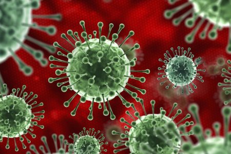 Ученые нашли эффективный способ победить коронавирус