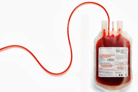 Найдены микроорганизмы, которые помогут создать универсальную донорскую кровь