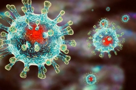 Вирусолог: «самый страшный сценарий» второй волны коронавируса