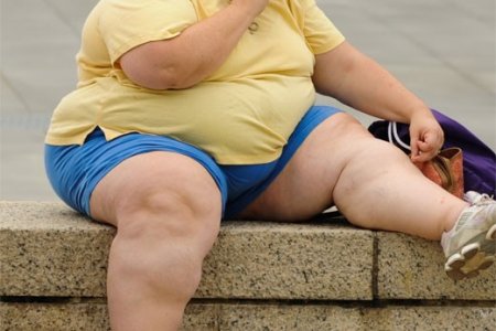 Сразу после коронавируса: человечеству предрекли пандемию ожирения