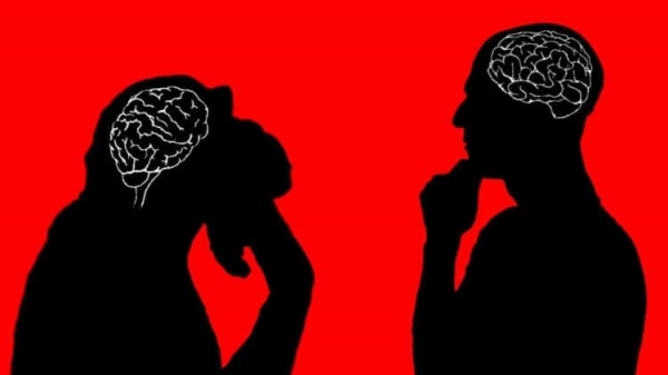 Чем мозг человека отличается от мозга животных? - Hi-News.ru