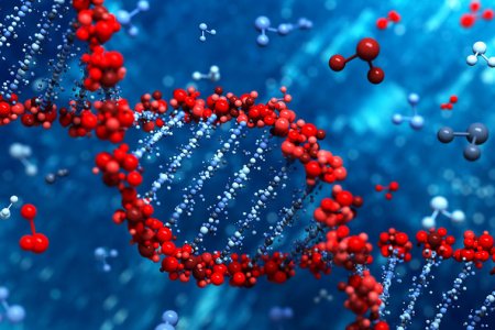 Учёные нашли ген, способный повлиять на лечение синдрома Дауна
