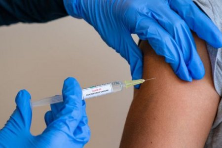 Почему перед вакцинацией важно сдать кровь и на какой показатель обратить внимание