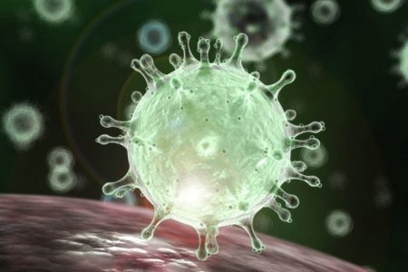 Ученые открыли еще один путь заражения коронавирусом: он поможет создать вакцину