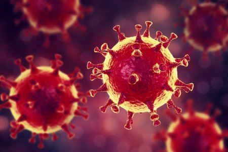 В чем заключается «суперспособность» коронавируса