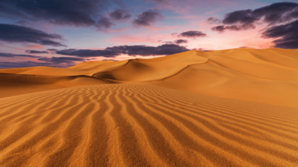 Почему пустыня Сахара последние 800 тысяч лет периодически покрывается пышной растительностью - Hi-News.ru