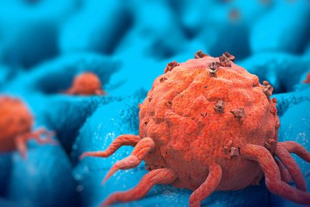 Учёные: почему раковые клетки начинают стремительно разрастаться