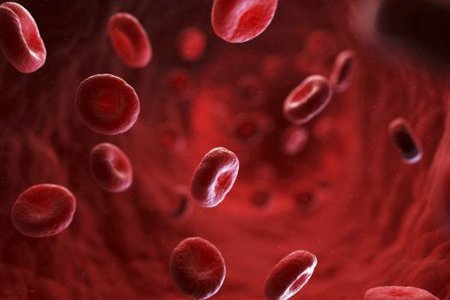 Люди с первой группой крови меньше других болеют раком