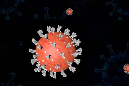 Медики рассказали о скрытом пике эпидемии коронавируса в России