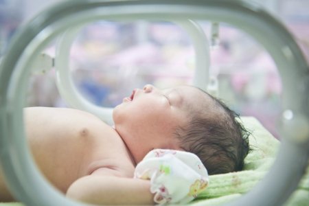 Выхаживать недоношенных детей будет искусственная матка